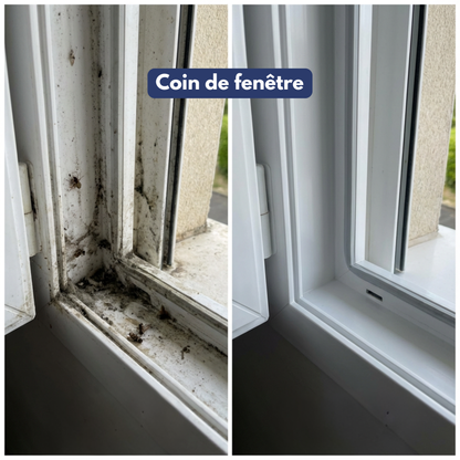 Nettoyeur à vapeur Aquanevo – Aucun produit nécessaire